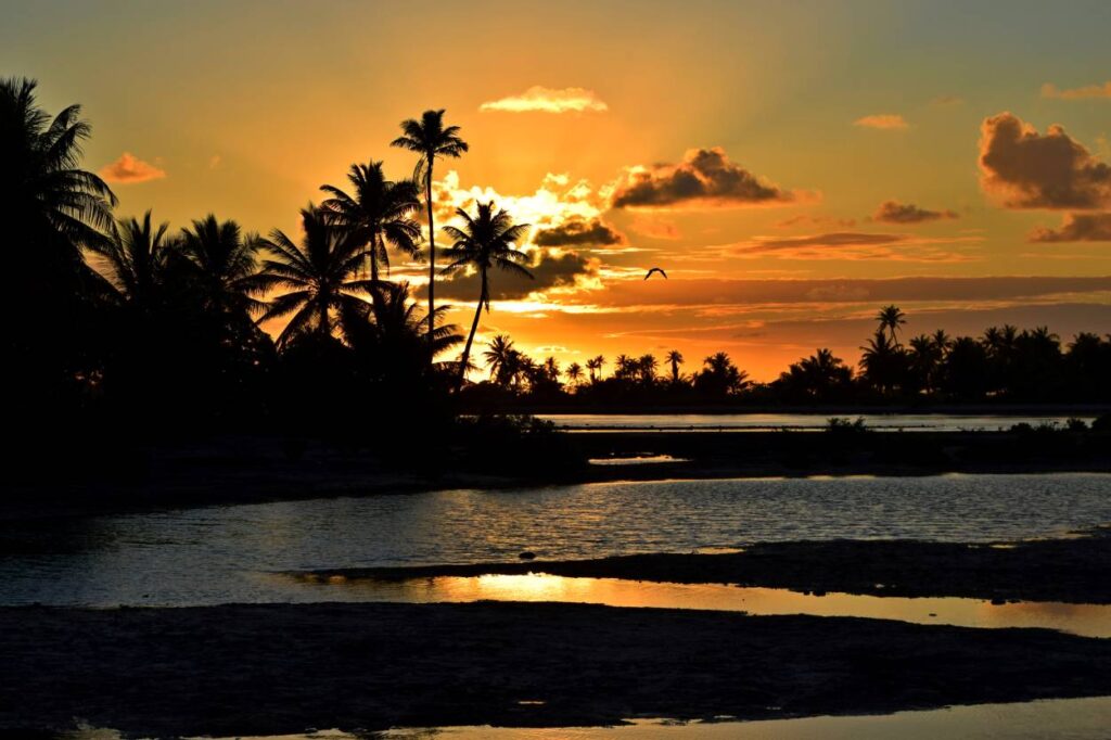 Alba a Tikehau con il sole che sorge all’orizzonte e colori tenui, Polinesia Francese