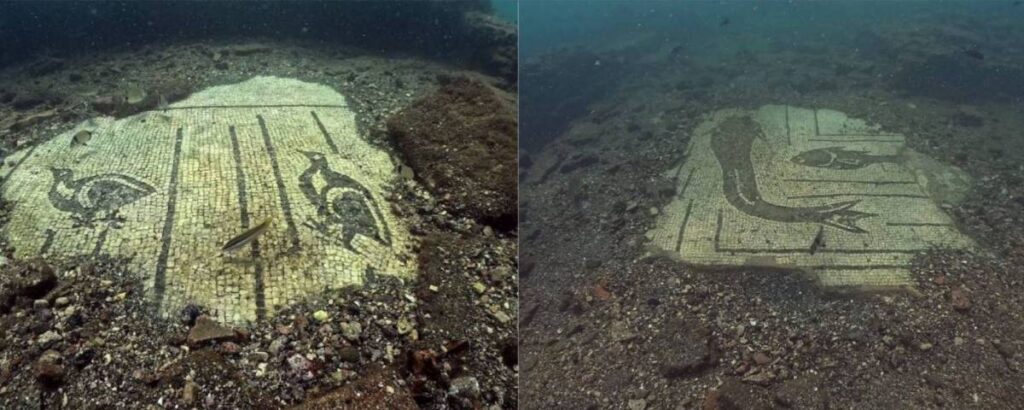 mosaici-marini-villa-protiro-pesci-subacquei