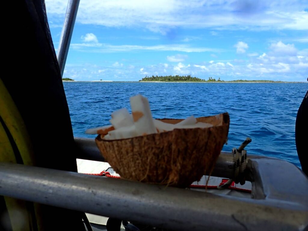 Scorcio del Tuheiava Pass a Tikehau visto dal gommone durante l’intervallo di superficie, con un cocco in primo piano