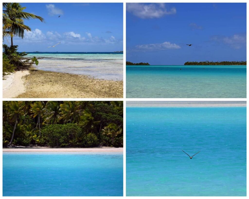 Collage della Laguna Blu di Rangiroa con mare dalle mille sfumature di azzurro e gabbiani in volo sulla laguna