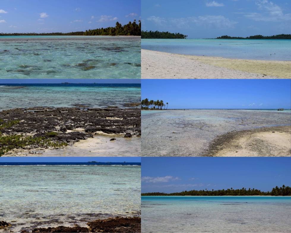 Collage di scorci della Laguna Blu di Rangiroa con sabbia bianca, rocce sommerse e acqua limpida dalle sfumature turchesi