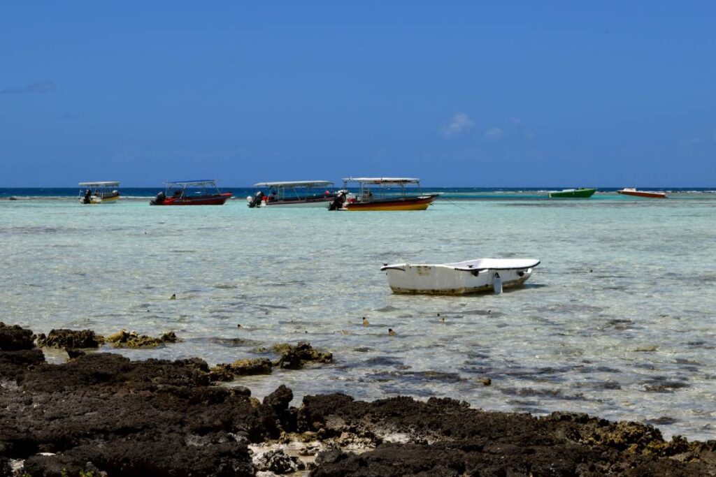 Banco di squali pinna nera nella Laguna Blu di Rangiroa, con le pinne che emergono dall’acqua cristallina mentre nuotano tra la riva e le barche dei turisti