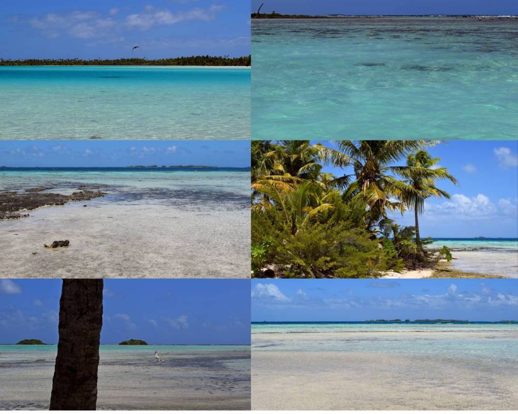 Collage di scorci della Laguna Blu di Rangiroa da varie angolazioni con sabbia bianca, acqua cristallina turchese, palme e cielo azzurro limpido