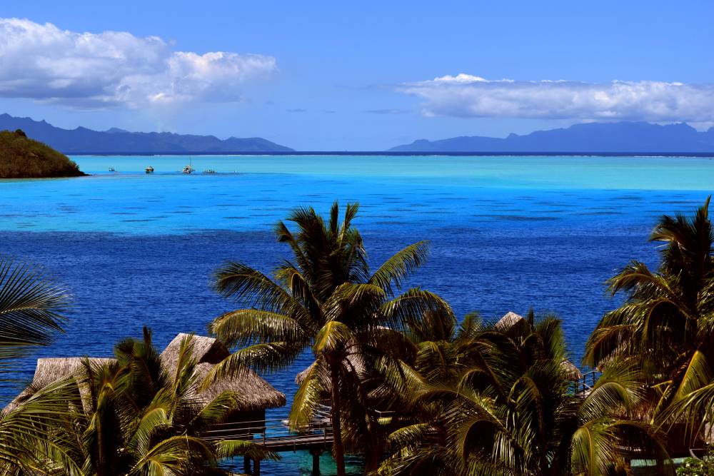 Laguna di Bora Bora vista dalla camera in pieno giorno, tra diverse sfumature di azzurro, palme e bungalow overwater