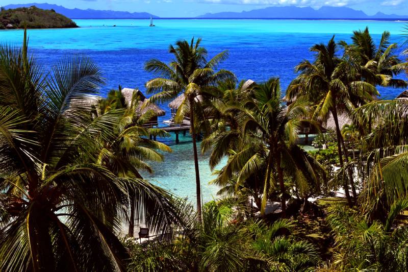 Vista dalla camera sulla laguna di Bora Bora in pieno giorno, con le sfumature azzurre del mare, le palme e i bungalow overwater