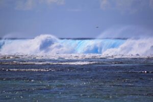 Giornata Mondiale degli Oceani