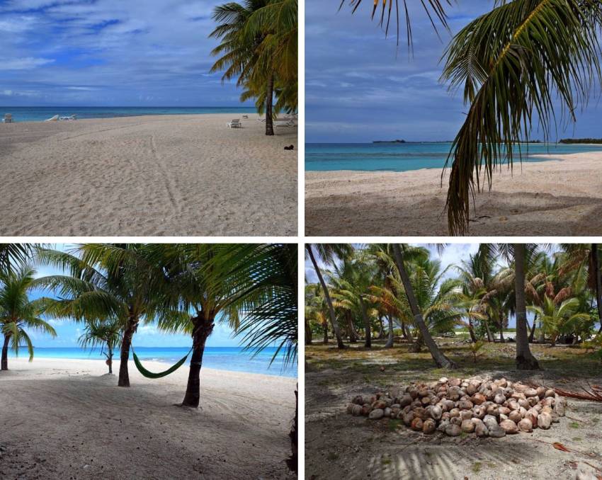 Collage di paesaggi naturali visti all’arrivo sul motu privato a Tikehau, tra spiaggia, palme e laguna cristallina