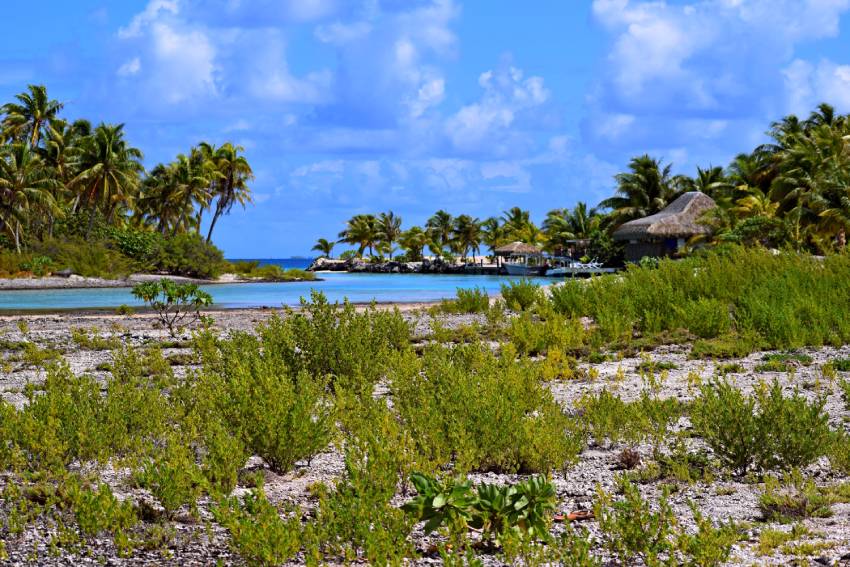 Veranda a Tikehau che si affaccia sul canale “hoa” di acqua cristallina con pesci e squali pinna nera, spiaggia e motu sullo sfondo, Polinesia Francese