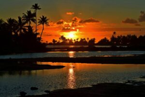 Alba tropicale a Tikehau, Polinesia Francese, con palme in ombra sulla spiaggia