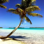 Laguna Blu di Rangiroa: guida completa all’escursione tra sabbia bianca, snorkeling e squali
